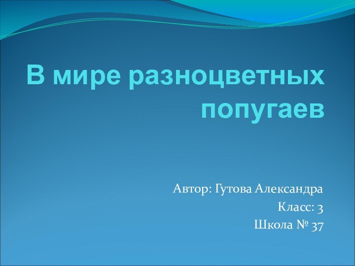 В мире разноцветных попугаевАвтор: Гутова АлександраКласс: 3 Школа № 37