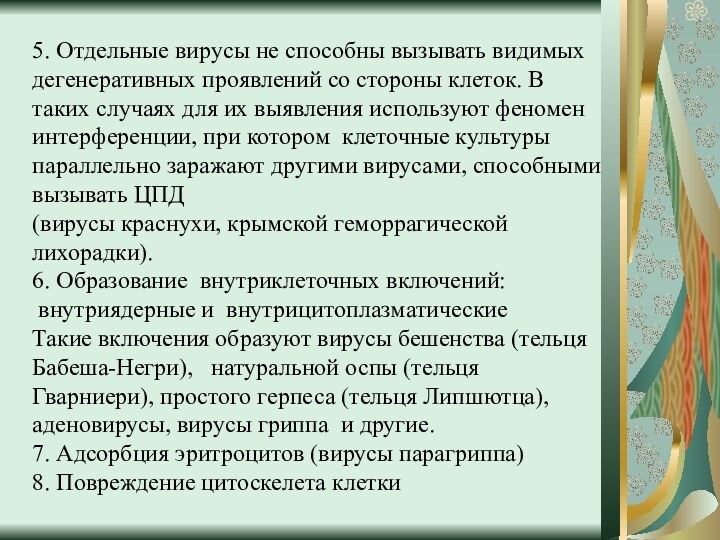 5. Отдельные вирусы не способны вызывать видимых дегенеративных проявлений со стороны клеток.