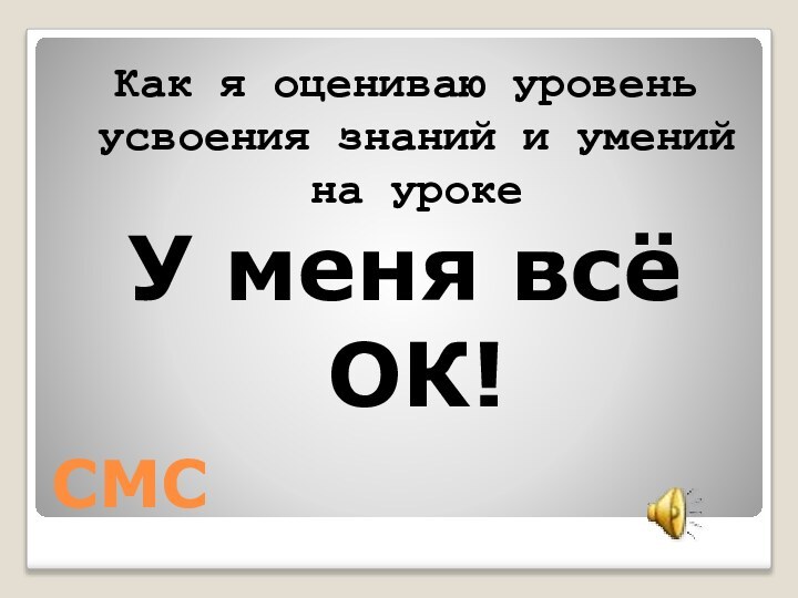 СМСКак я оцениваю уровень усвоения знаний и умений на уроке У меня всё ОК!