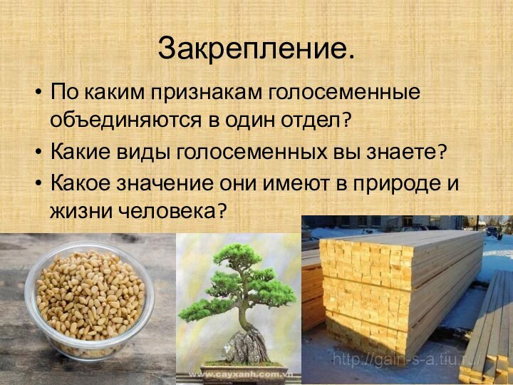 Закрепление.По каким признакам голосеменные объединяются в один отдел?Какие виды голосеменных вы знаете?Какое