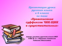 Правописание суффиксов ЧИК-ЩИК в существительных