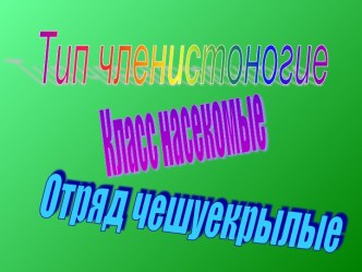 Отряд Чешуекрылые