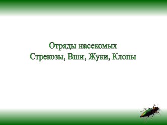 Отряды насекомых Стрекозы, Вши, Жуки, Клопы