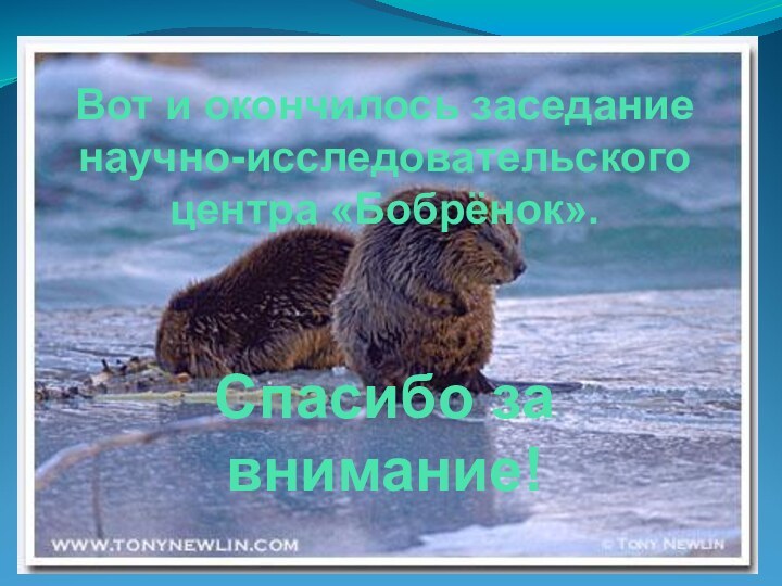 Вот и окончилось заседание научно-исследовательского центра «Бобрёнок».    Спасибо за внимание!