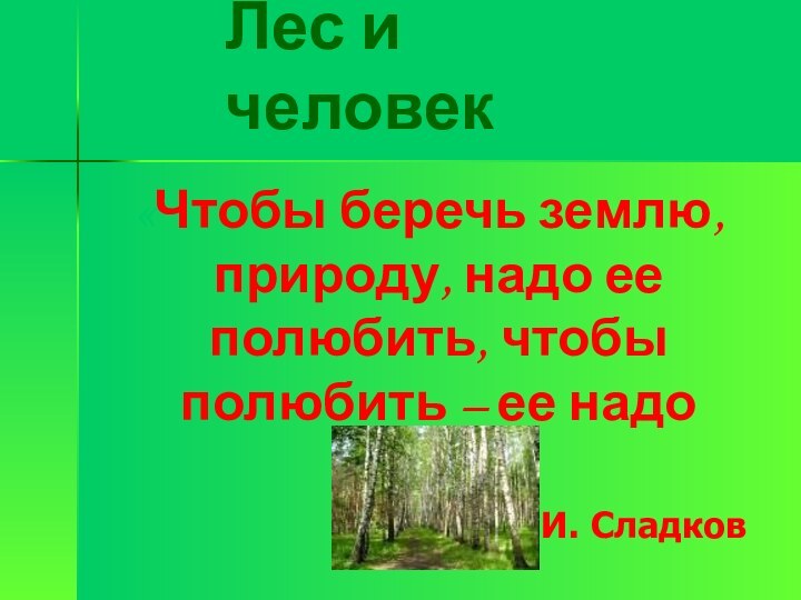 Лес и человек «Чтобы беречь землю, природу, надо ее полюбить, чтобы полюбить