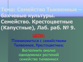 Семейство Тыквенные – бахчевые культуры. Семейство. Крестоцветные (Капустные)