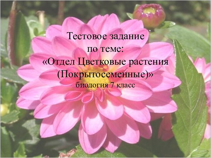 Тестовое задание по теме: «Отдел Цветковые растения (Покрытосеменные)» биология 7 класс