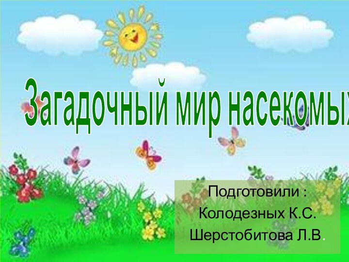 Загадочный мир насекомыхПодготовили :Колодезных К.С.Шерстобитова Л.В.