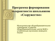 Программа формирования толерантности школьников Содружество