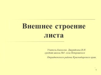 Внешнее строение листа (6 класс)