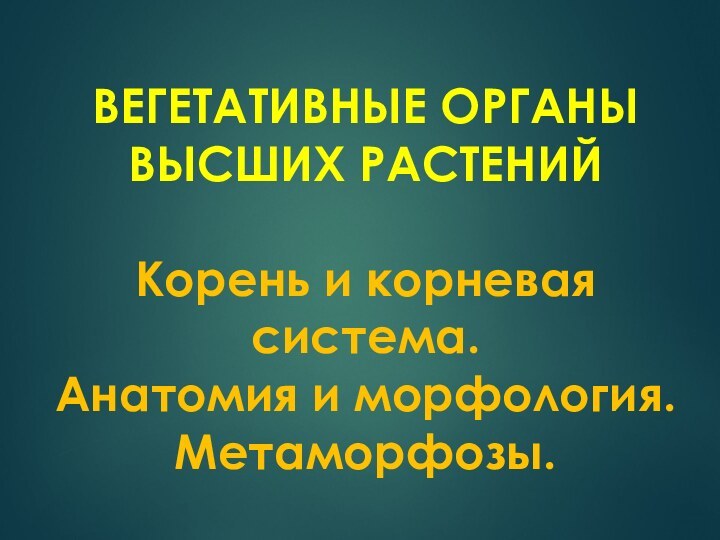 ВЕГЕТАТИВНЫЕ ОРГАНЫ ВЫСШИХ РАСТЕНИЙ  Корень и корневая система.  Анатомия и морфология. Метаморфозы.