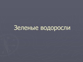 Зеленые водоросли