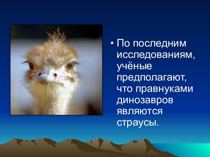 По последним исследованиям, учёные предполагают, что правнуками динозавров являются страусы.