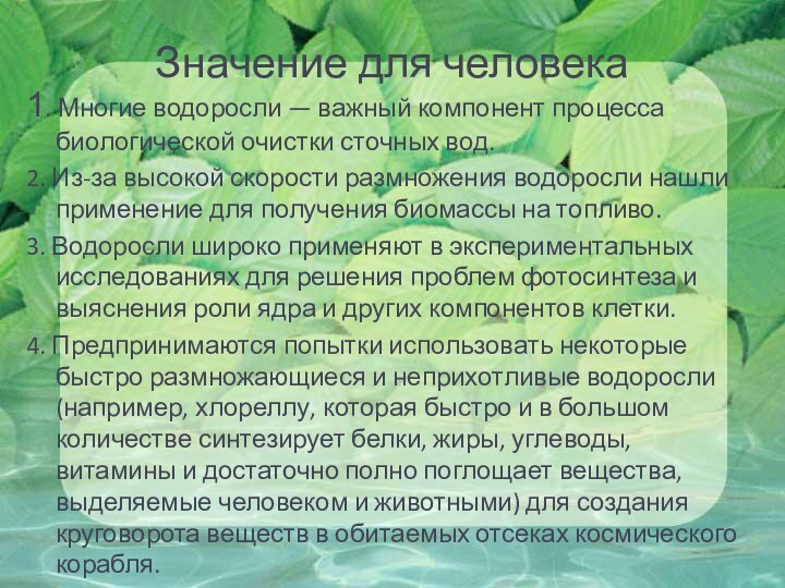 Значение для человека1. Многие водоросли — важный компонент процесса биологической очистки сточных вод.2.