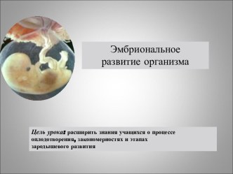 Эмбриональное развитие организма