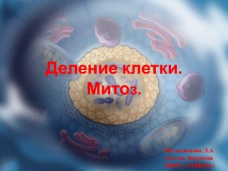 Деление клетки митоз