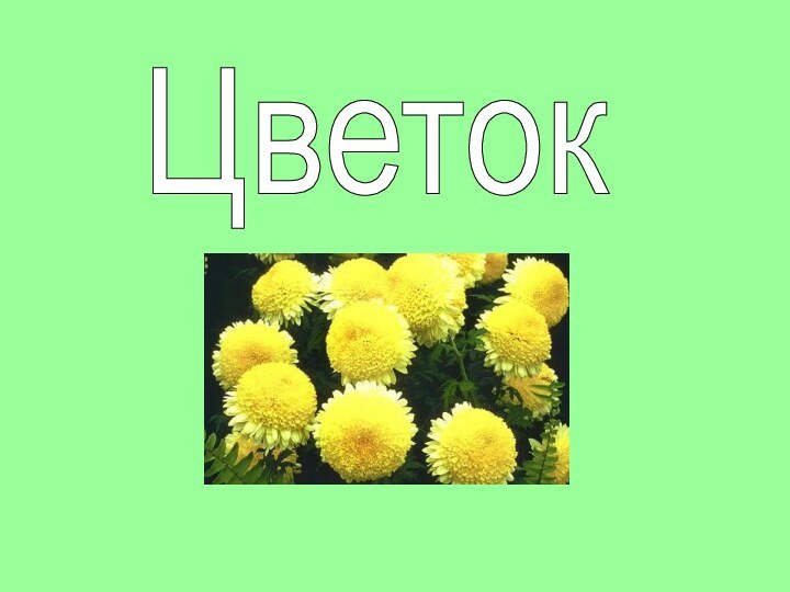 Цветок