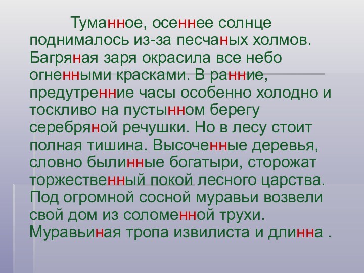 Туманное, осеннее солнце поднималось из-за песчаных холмов. Багряная заря окрасила все