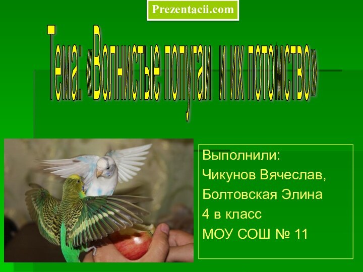 Выполнили: Чикунов Вячеслав, Болтовская Элина 4 в класс МОУ СОШ № 11Тема: