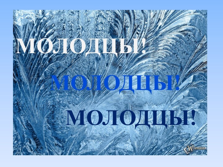 МОЛОДЦЫ!МОЛОДЦЫ!МОЛОДЦЫ!