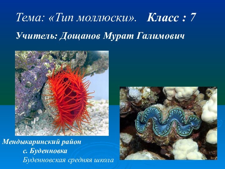 Тема: «Тип моллюски».  Класс : 7Учитель: Дощанов Мурат Галимович Мендыкаринский район
