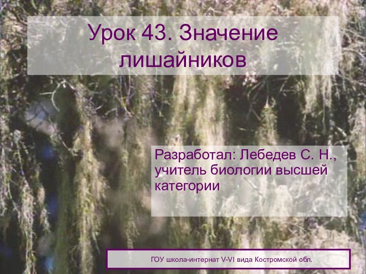 ГОУ школа-интернат V-VI вида Костромской обл.Урок 43. Значение лишайниковРазработал: Лебедев С. Н.,