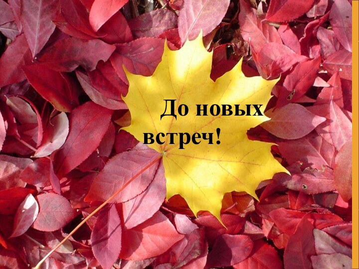 До новых       встреч!