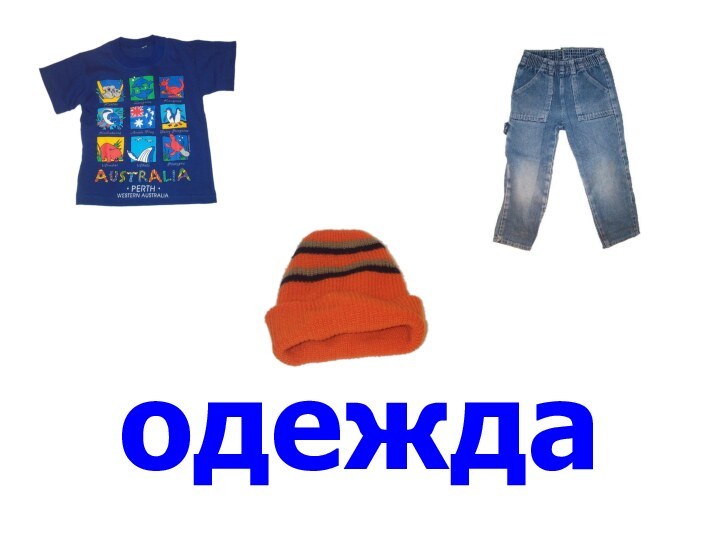 одежда