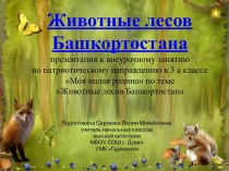 Животные лесов Башкортостана