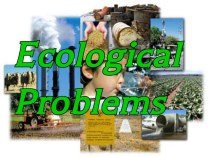 Ecological Problems