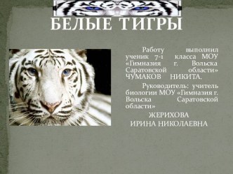 Белые тигры