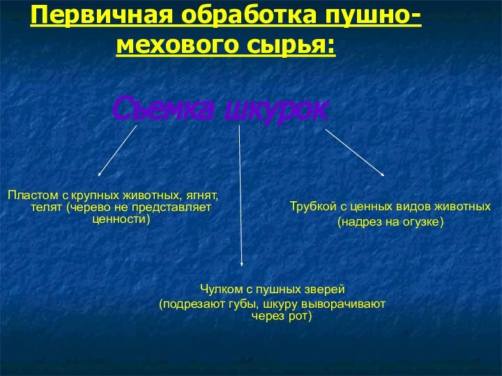 Съемка шкурокПервичная обработка пушно-мехового сырья:Пластом с крупных животных, ягнят, телят (черево не