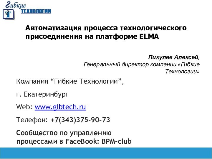 Автоматизация процесса технологического присоединения на платформе ELMAПикулев Алексей, Генеральный директор компании «Гибкие