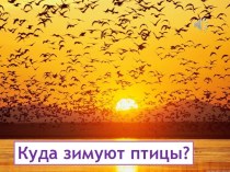 Как зимуют птицы