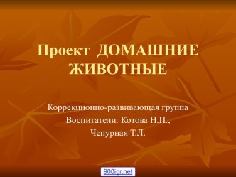 Проект домашние животные