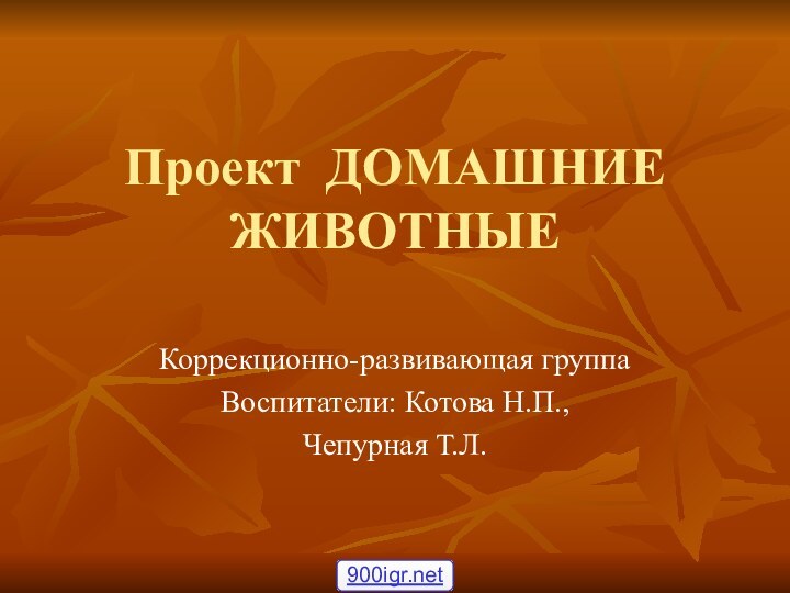 Проект ДОМАШНИЕ ЖИВОТНЫЕ Коррекционно-развивающая группаВоспитатели: Котова Н.П., Чепурная Т.Л.