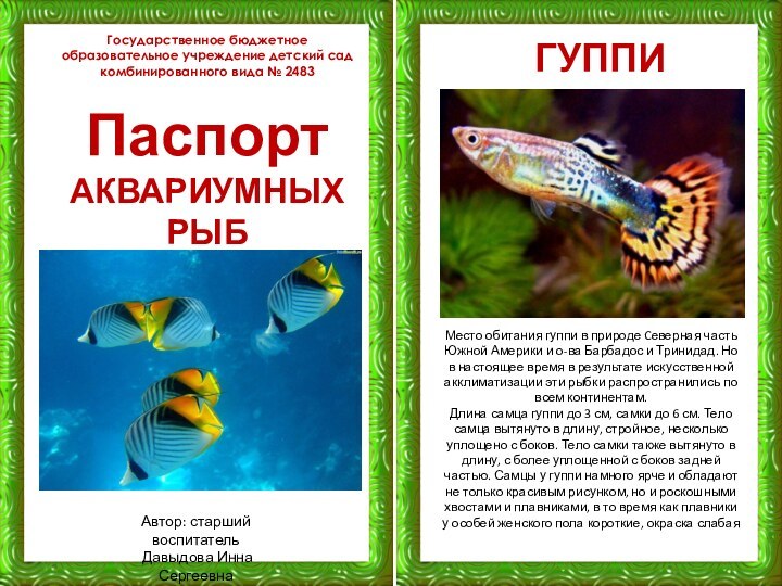 Государственное бюджетное образовательное учреждение детский сад комбинированного вида № 2483ПаспортАКВАРИУМНЫХ РЫБГУППИМесто обитания