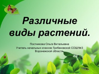 Различные виды растений