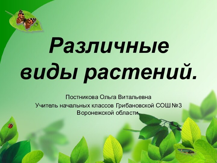 Различные виды растений.Постникова Ольга ВитальевнаУчитель начальных классов Грибановской СОШ №3 Воронежской области.