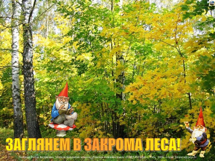 ЗАГЛЯНЕМ В ЗАКРОМА ЛЕСА!