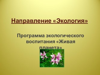 Программа экологического воспитания Живая планета