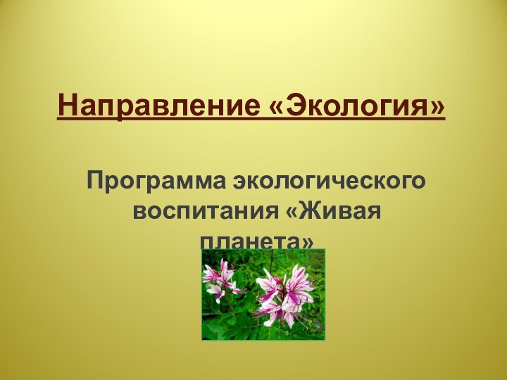 Направление «Экология»Программа экологического воспитания «Живая планета»