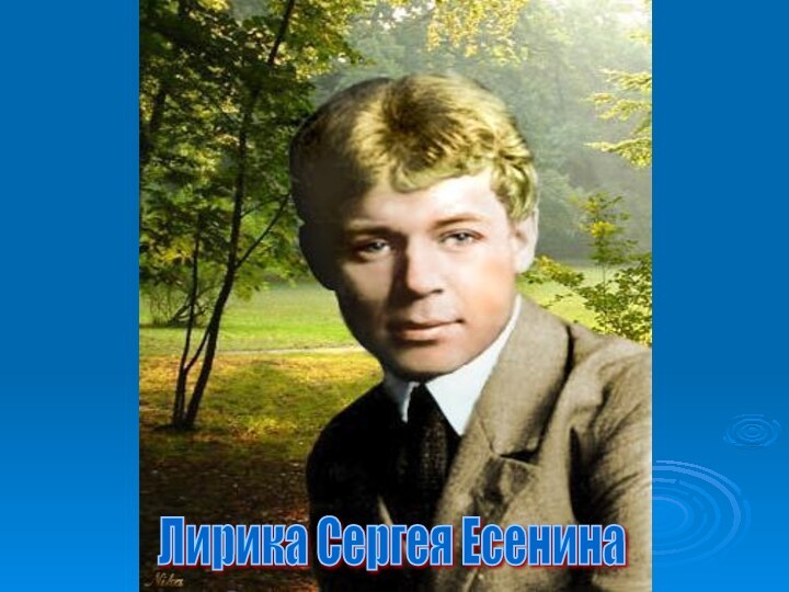 Лирика Сергея Есенина