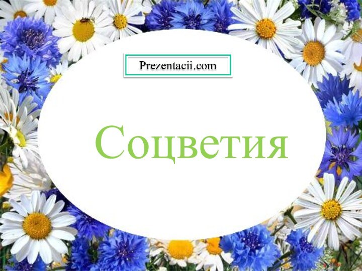 СоцветияАвтор: Лабунец Ольга Юрьевнаучитель биологии МОУ СОШ № 4г. МытищиСоцветияPrezentacii.com