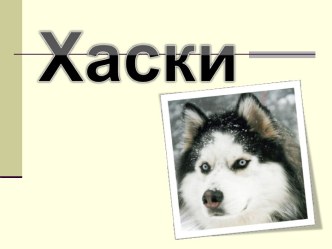 Хаски