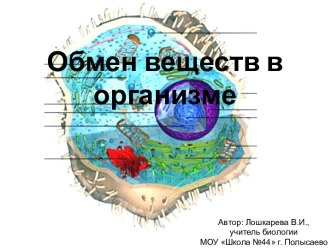 Обмен веществ в организме