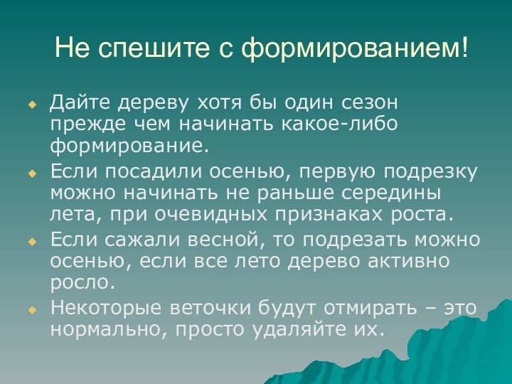 Не спешите с формированием!Дайте дереву хотя бы один сезон прежде чем начинать