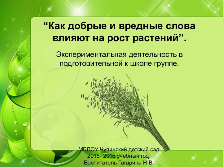 “Как добрые и вредные слова влияют на рост растений”.  Экспериментальная деятельность