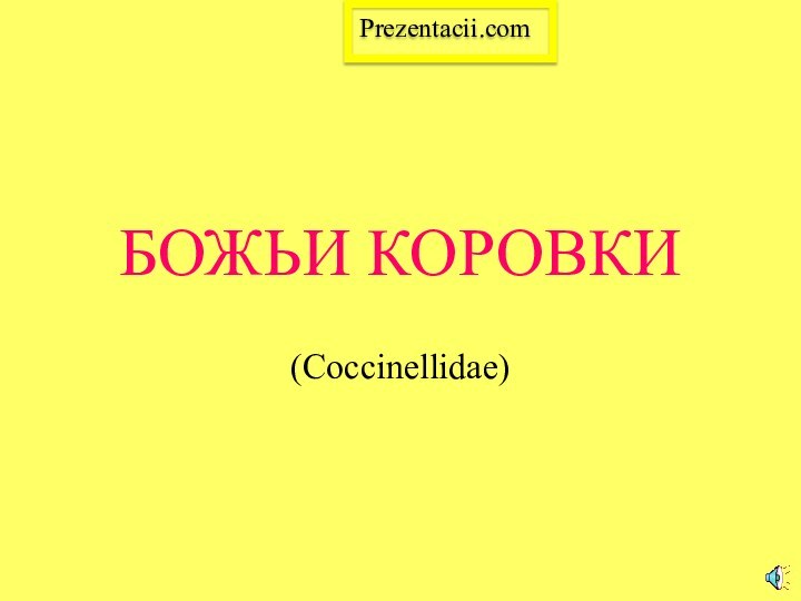 БОЖЬИ КОРОВКИ(Coccinellidae)Prezentacii.com