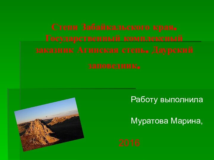 Степи Забайкальского края. Государственный комплексный заказник Агинская степь. Даурский заповедник. Работу